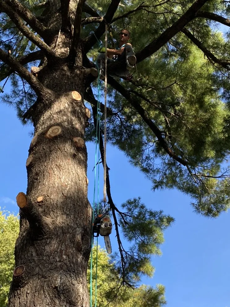 Custom lawn mowing service experts serving Liberty, MO - Environmental Expert Solutions