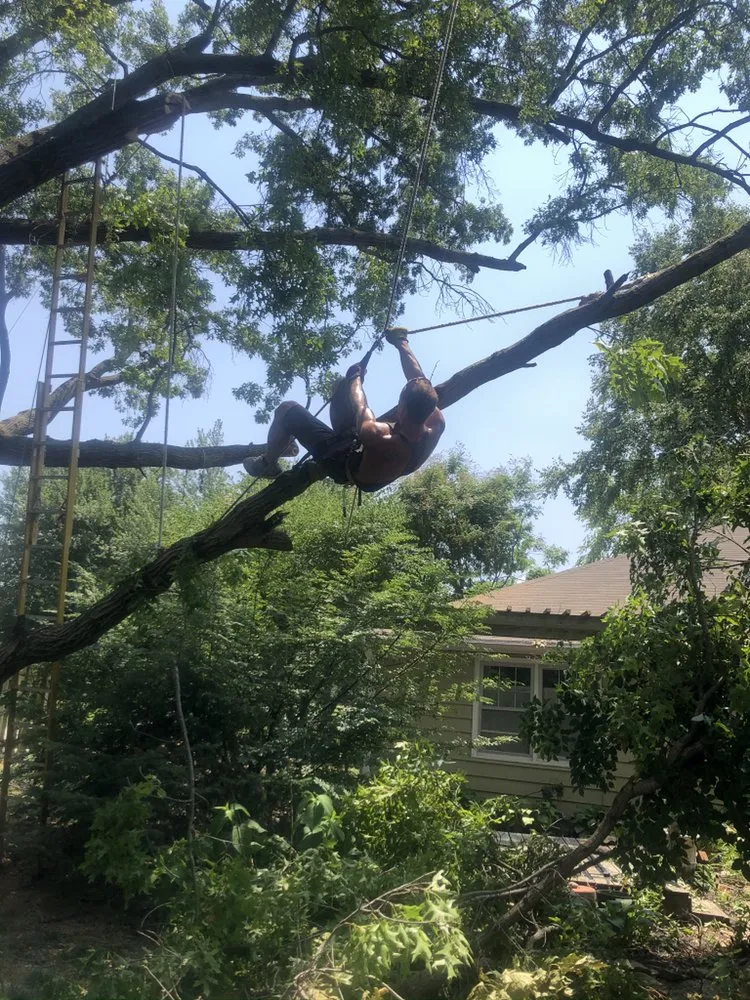 Affordable outdoor landscaping experts serving Liberty, MO - Environmental Expert Solutions