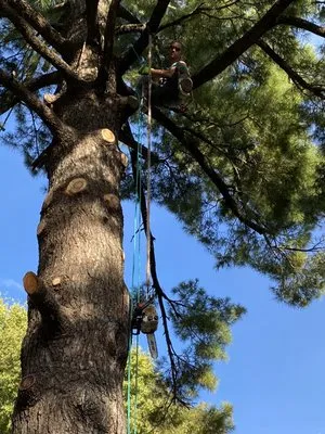 Environmental Expert Solutions Logo