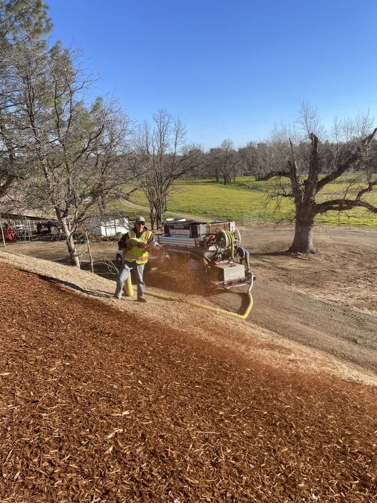 Affordable yard cleanup service with custom design in Redding, CA by Environmental Hydroseeding