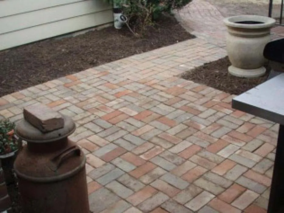Custom yard cleanup service experts serving Millersville, MD - Environmental Landcare