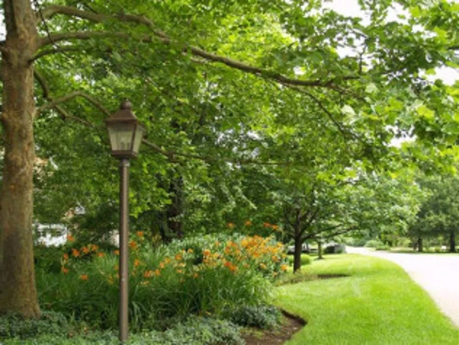 Local outdoor landscaping in Millersville, MD - Environmental Landcare