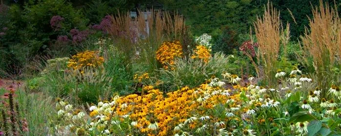 Professional landscaping services near you across Mashpee, MA - Environmental Landscape Consultants