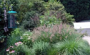 Affordable outdoor landscaping in Mashpee, MA by Environmental Landscape Consultants