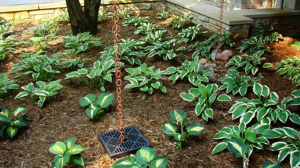 Custom lawn mowing service for year-round maintenance across Hudson, WI - Environmental Landscape Management