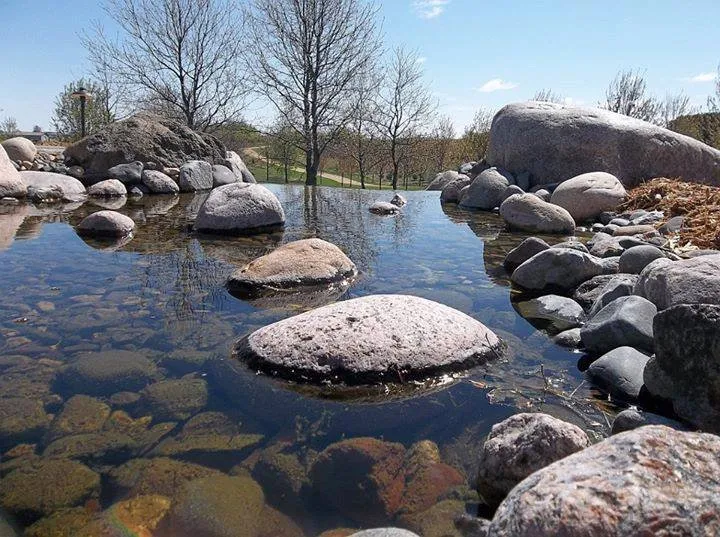 Affordable yard cleanup service in Hudson, WI by Environmental Landscape Management