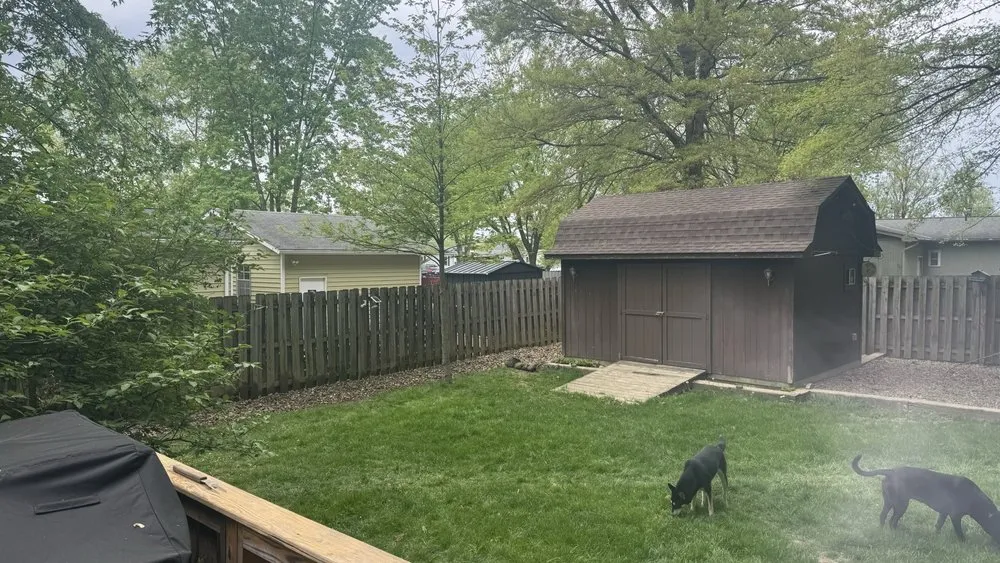 Professional yard cleanup service experts serving Litchfield, OH - Environmental Landscape Management