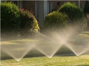Expert landscape design experts serving Luthersville, GA - Environmental Landscape Management