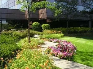 Professional residential landscaping experts serving Luthersville, GA - Environmental Landscape Management