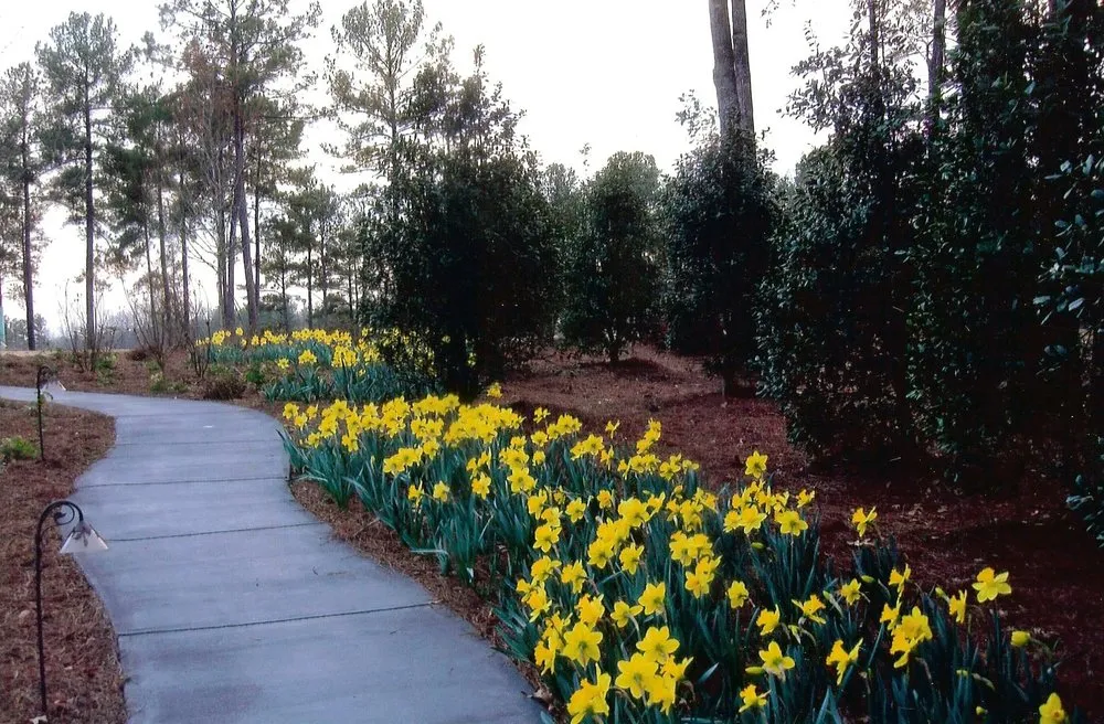 Trusted yard maintenance for homes in Luthersville, GA by Environmental Landscape Management