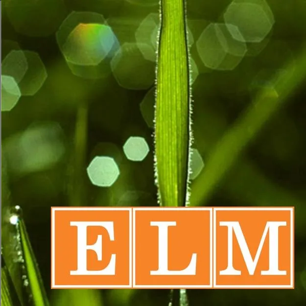 Expert yard maintenance in Luthersville, GA by Environmental Landscape Management