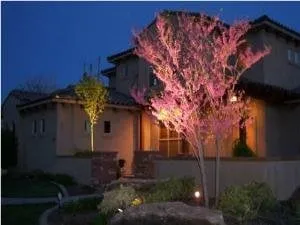 Professional yard cleanup service experts serving Luthersville, GA - Environmental Landscape Management