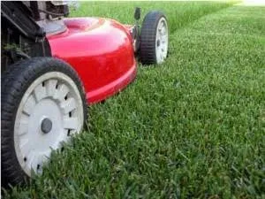 Affordable yard cleanup service for homes across Luthersville, GA - Environmental Landscape Management