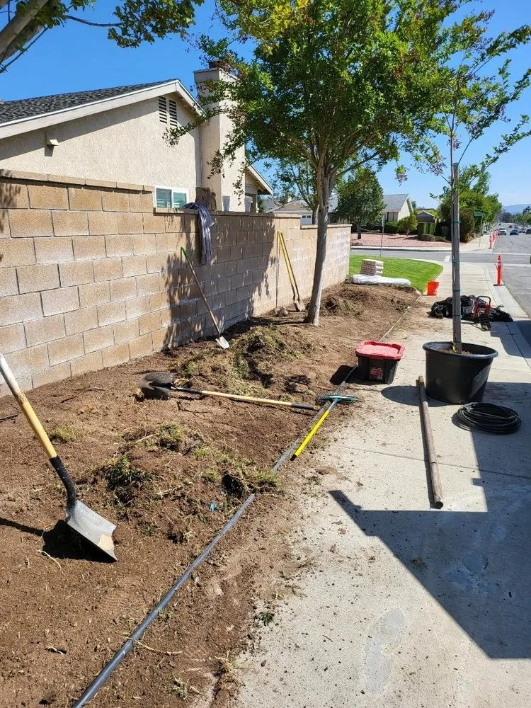 Reliable lawn care service in Rialto, CA - Environmental landscape