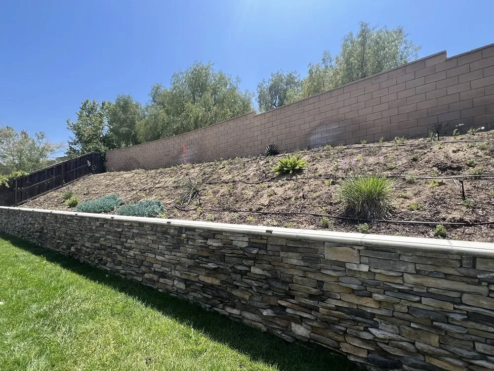 Top-rated yard maintenance in Rialto, CA - Environmental landscape