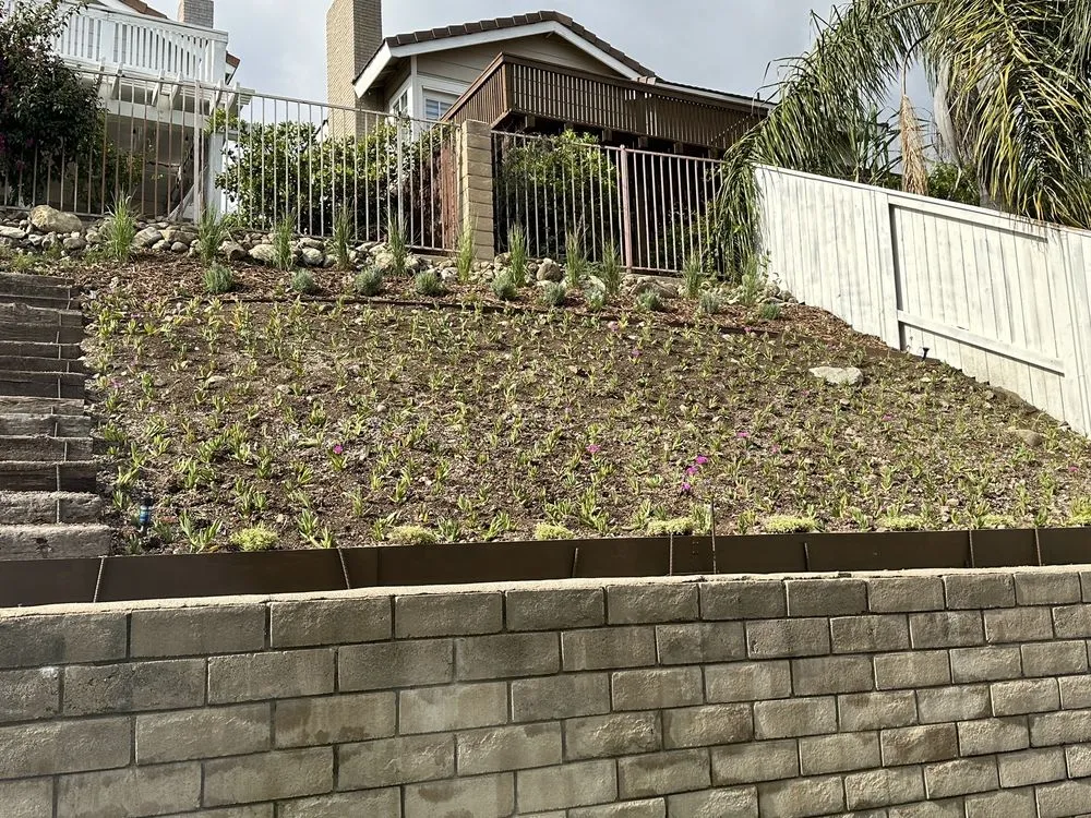 Top-rated lawn mowing service for year-round maintenance in Rialto, CA by Environmental landscape