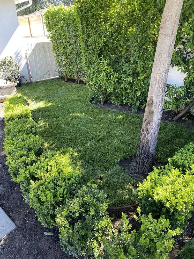 Local outdoor landscaping in Rialto, CA by Environmental landscape