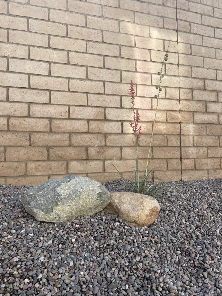 Professional garden landscaping experts serving Rialto, CA - Environmental landscape