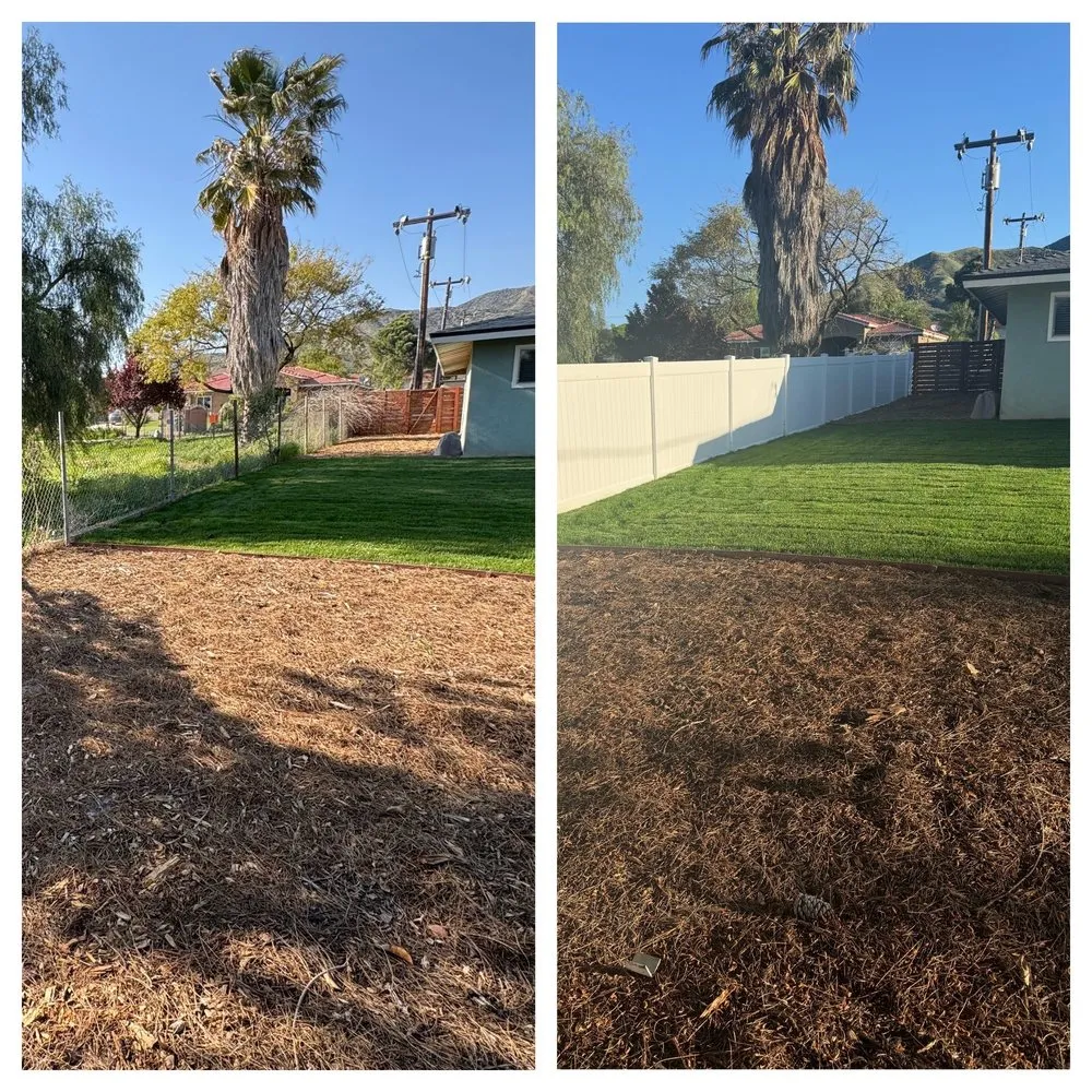 Reliable outdoor landscaping in Rialto, CA by Environmental landscape