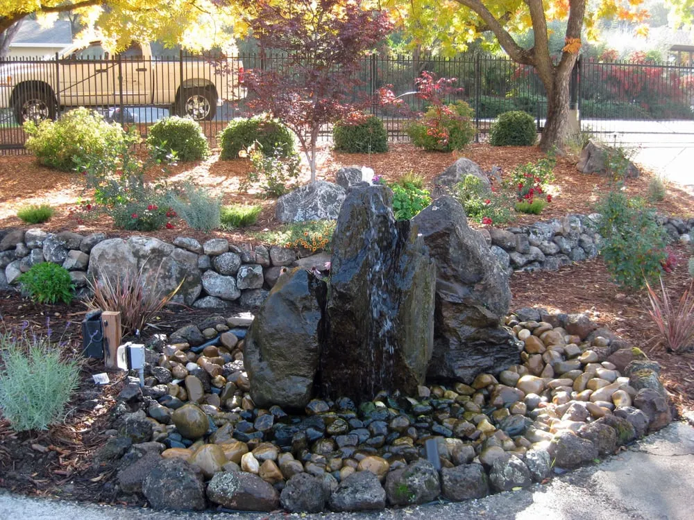 Trusted lawn care service in Rocklin, CA - Environmental Landscape