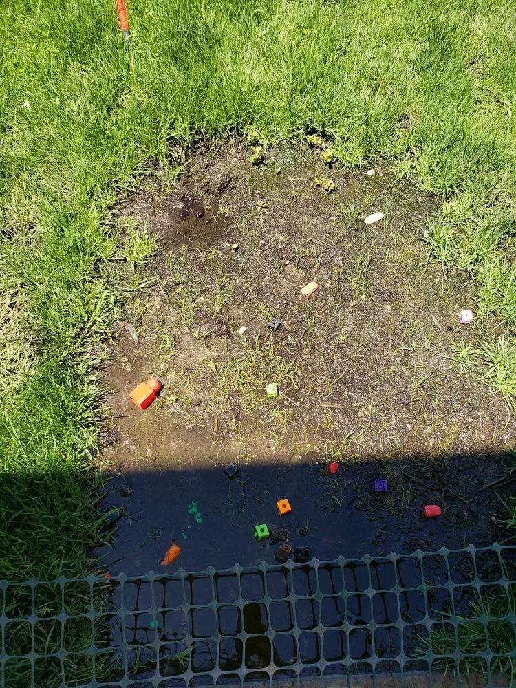 Custom landscape design in Rancho Cordova, CA - Environmental Landscape Solutions