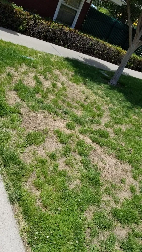 Professional landscape design in Rancho Cordova, CA - Environmental Landscape Solutions