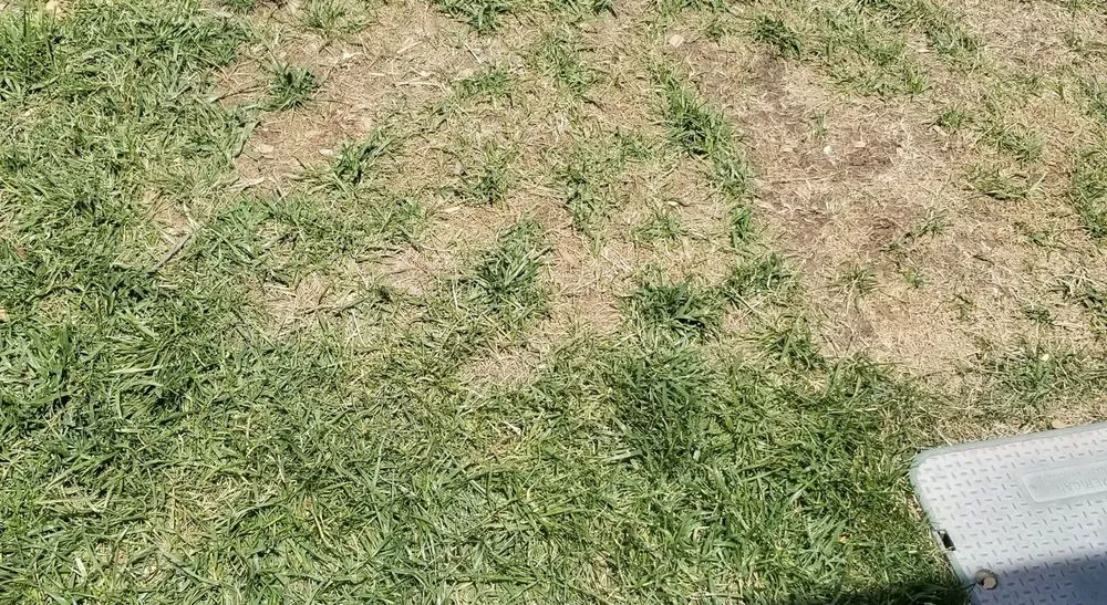 Reliable outdoor landscaping in Rancho Cordova, CA - Environmental Landscape Solutions