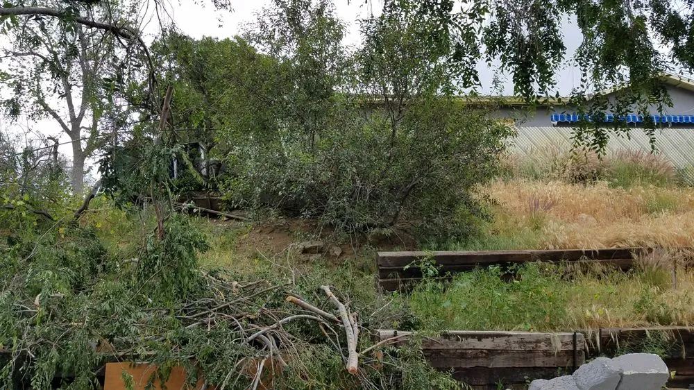 Custom landscaping services in Panorama City, CA - Environmental Landscaping
