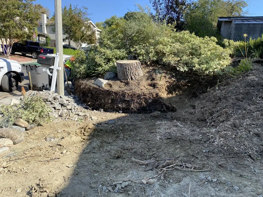 Top-rated residential landscaping for beautiful yards in Panorama City, CA by Environmental Landscaping