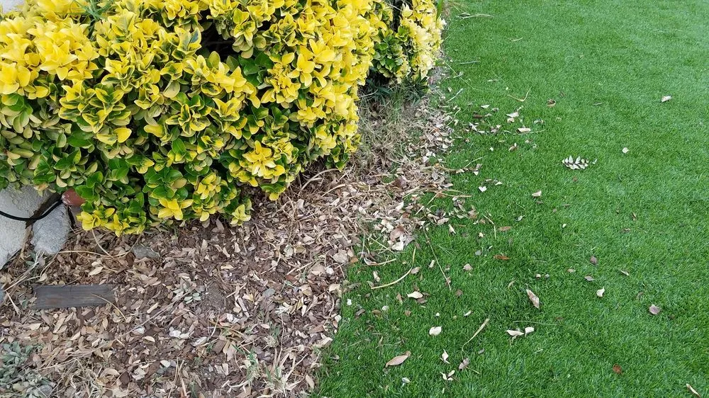 Affordable lawn care service experts serving Panorama City, CA - Environmental Landscaping