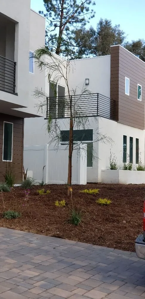 Trusted lawn care service for beautiful yards in Panorama City, CA by Environmental Landscaping