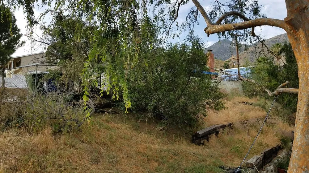 Top-rated yard maintenance in Panorama City, CA by Environmental Landscaping