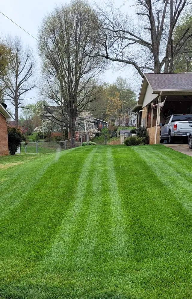 Top-rated yard maintenance for homes across Reidsville, NC - Environmental Lawn Care
