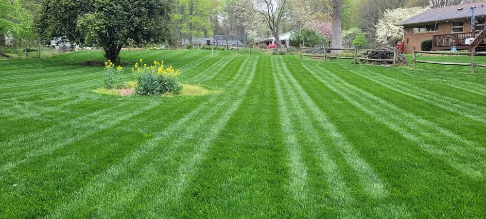 Affordable landscape design in Reidsville, NC by Environmental Lawn Care