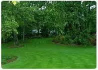 Trusted yard maintenance for homes in Washington DC, DC by Environmental Research & Recovery Project
