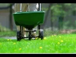 Professional outdoor landscaping for beautiful yards in Washington DC, DC by Environmental Research & Recovery Project