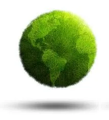 Professional yard maintenance near you in Washington DC, DC by Environmental Research & Recovery Project