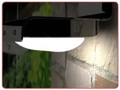 Affordable lawn mowing service in Washington DC, DC - Environmental Research & Recovery Project