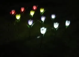 Reliable lawn care service in Washington DC, DC by Environmental Research & Recovery Project