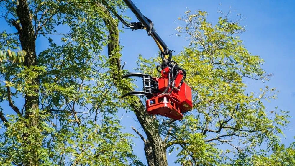 Reliable lawn mowing service in Burtonsville, MD - Environmental Resources Group