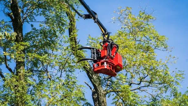 Environmental Resources Group