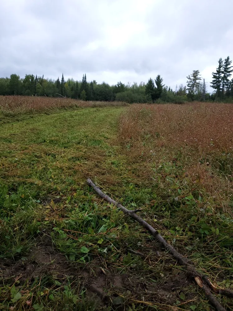 Reliable garden landscaping experts serving Culver, MN - Environmental Tactical Solutions