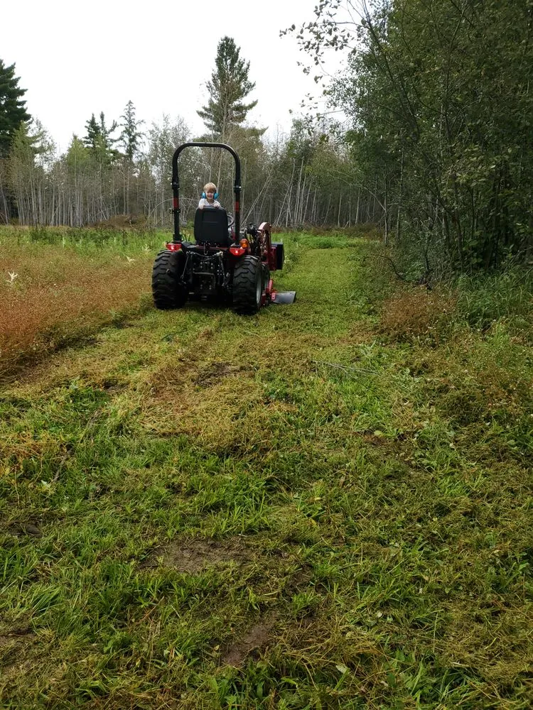Reliable lawn care service for homes in Culver, MN by Environmental Tactical Solutions