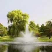 Trusted yard cleanup service experts serving Ringwood, IL - Environmental Technology