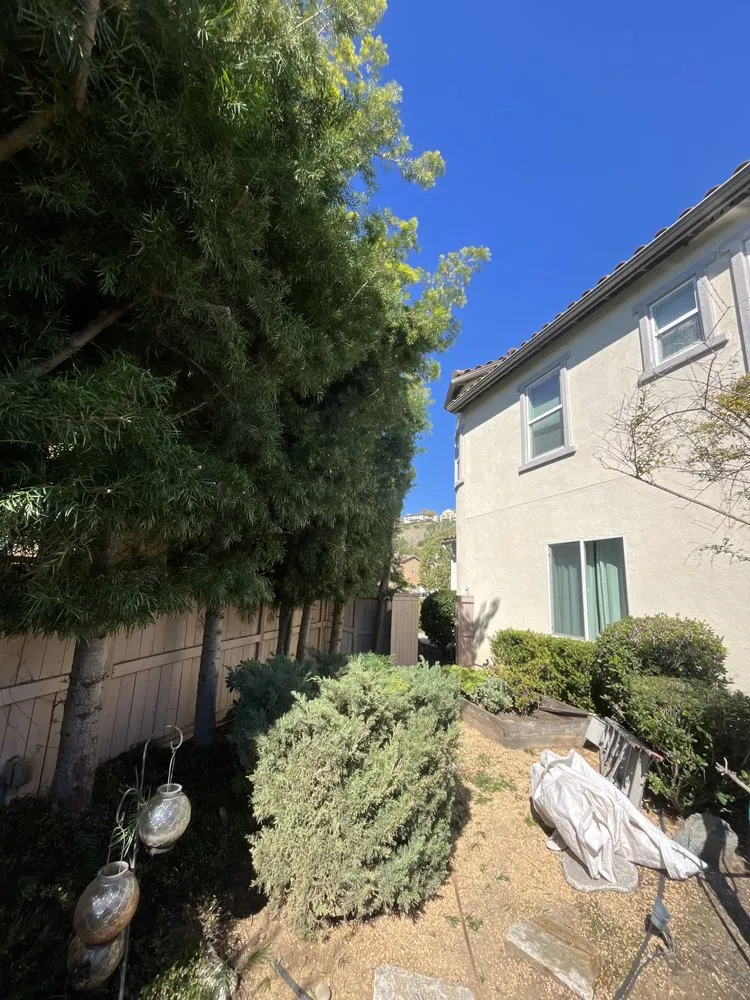 Local garden landscaping in Bonsall, CA - Environmental Tree Service and Landscape