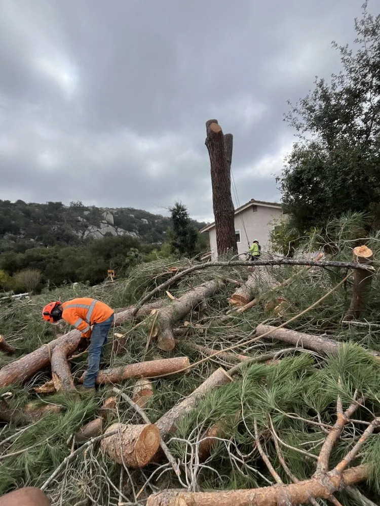 Custom outdoor landscaping experts serving Bonsall, CA - Environmental Tree Service and Landscape