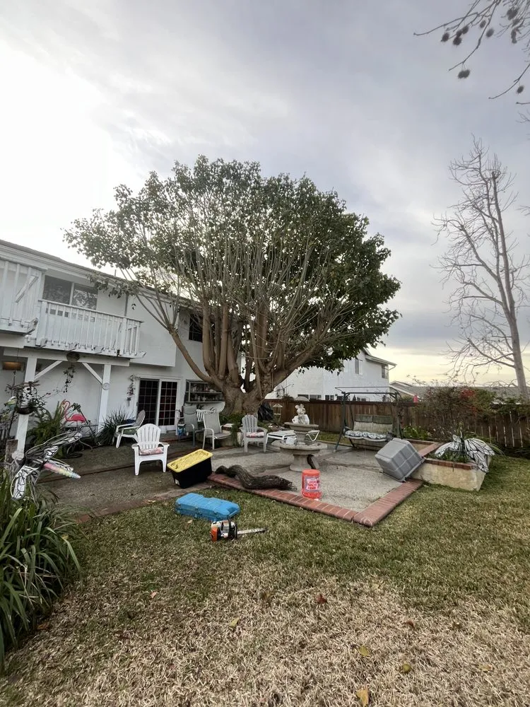 Top-rated residential landscaping for year-round maintenance across Bonsall, CA - Environmental Tree Service and Landscape