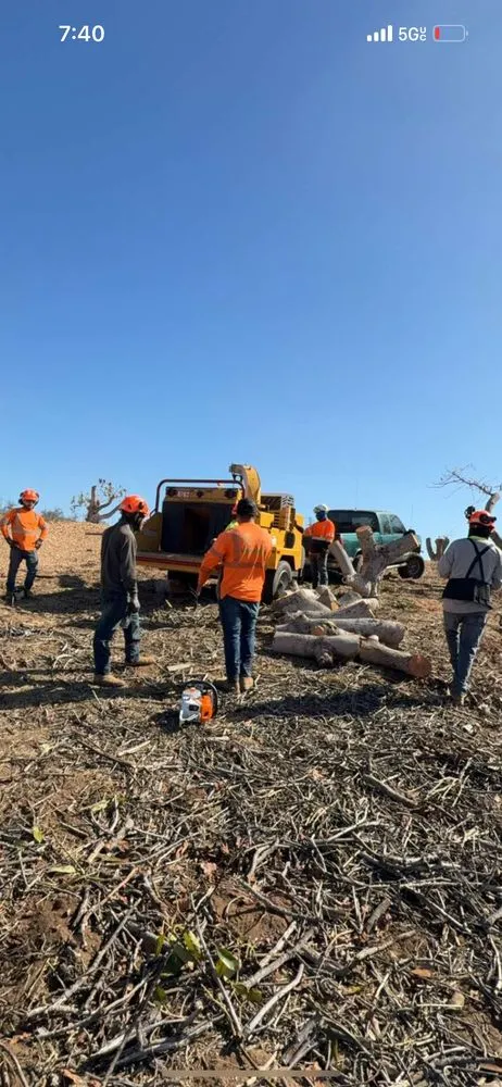 Professional residential landscaping experts serving Bonsall, CA - Environmental Tree Service and Landscape