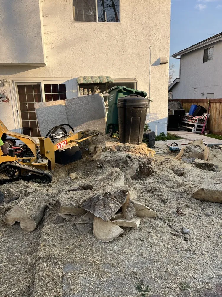 Top-rated garden landscaping in Bonsall, CA - Environmental Tree Service and Landscape