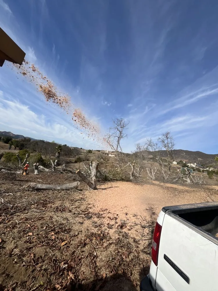 Local yard maintenance experts serving Bonsall, CA - Environmental Tree Service and Landscape